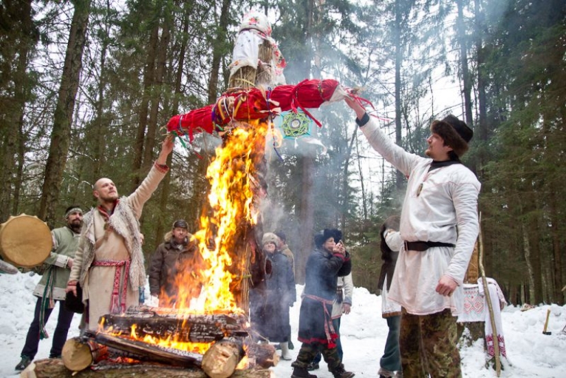 Donde hizo el compañero de Abuelo Escarcha , la Doncella de nieve o Full pedigree Donde hizo el compañero de Abuelo Escarcha , la Doncella de nieve o Full pedigree