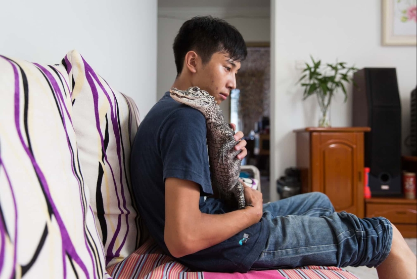 Donkey, gopher, spider: Chinese and their exotic pets Donkey, gopher, spider: Chinese and their exotic pets