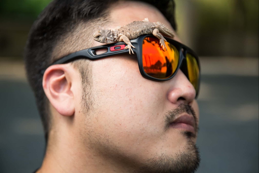 Donkey, gopher, spider: Chinese and their exotic pets Donkey, gopher, spider: Chinese and their exotic pets