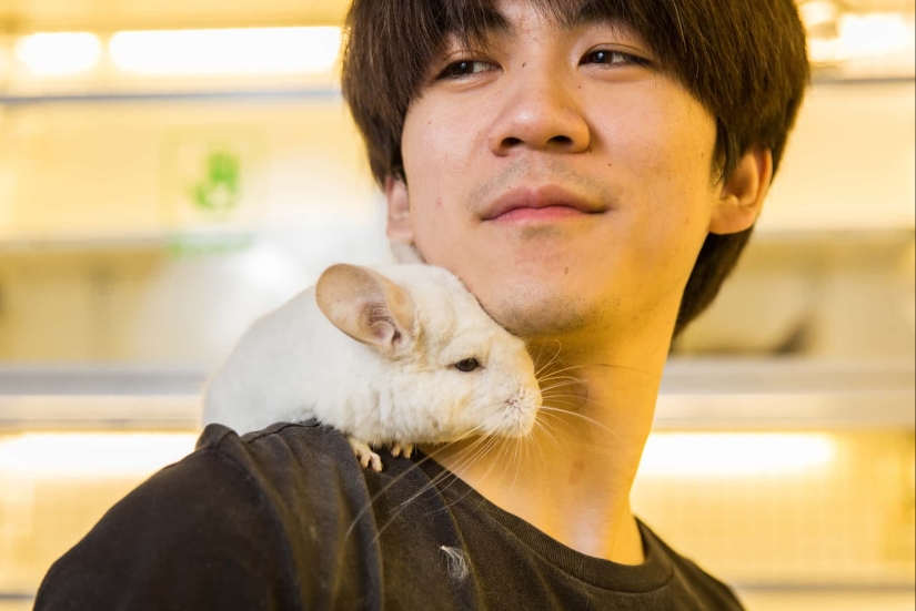 Donkey, gopher, spider: Chinese and their exotic pets Donkey, gopher, spider: Chinese and their exotic pets