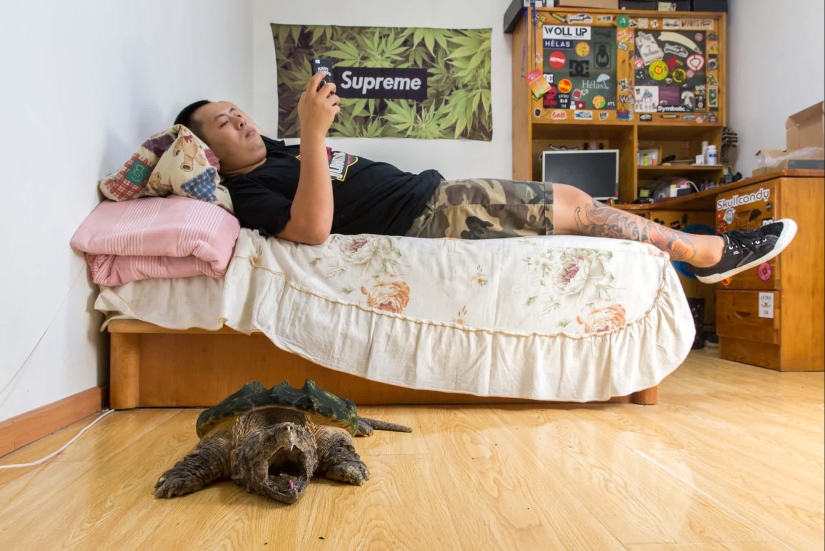 Donkey, gopher, spider: Chinese and their exotic pets Donkey, gopher, spider: Chinese and their exotic pets