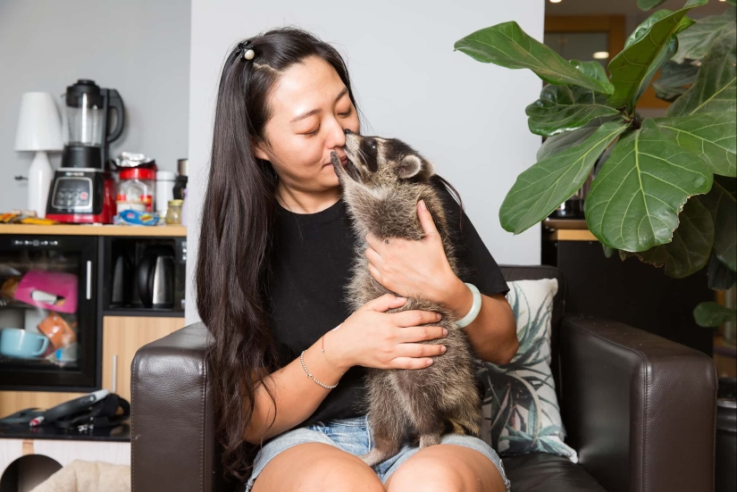 Donkey, gopher, spider: Chinese and their exotic pets Donkey, gopher, spider: Chinese and their exotic pets