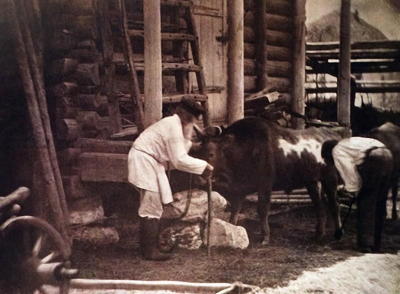 Donskoy album by Ivan Vasilyevich Boldyrev