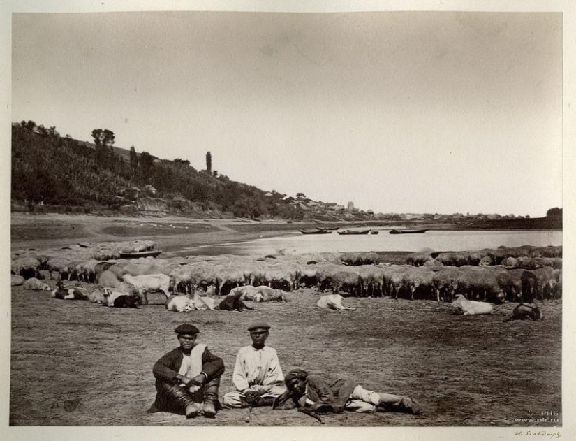 Donskoy álbum de Ivan Vasilyevich Boldyrev