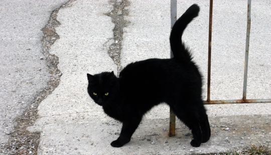 "Don't eat with a knife", "don't take out the trash in the evening" and other folk signs that we somehow believe in