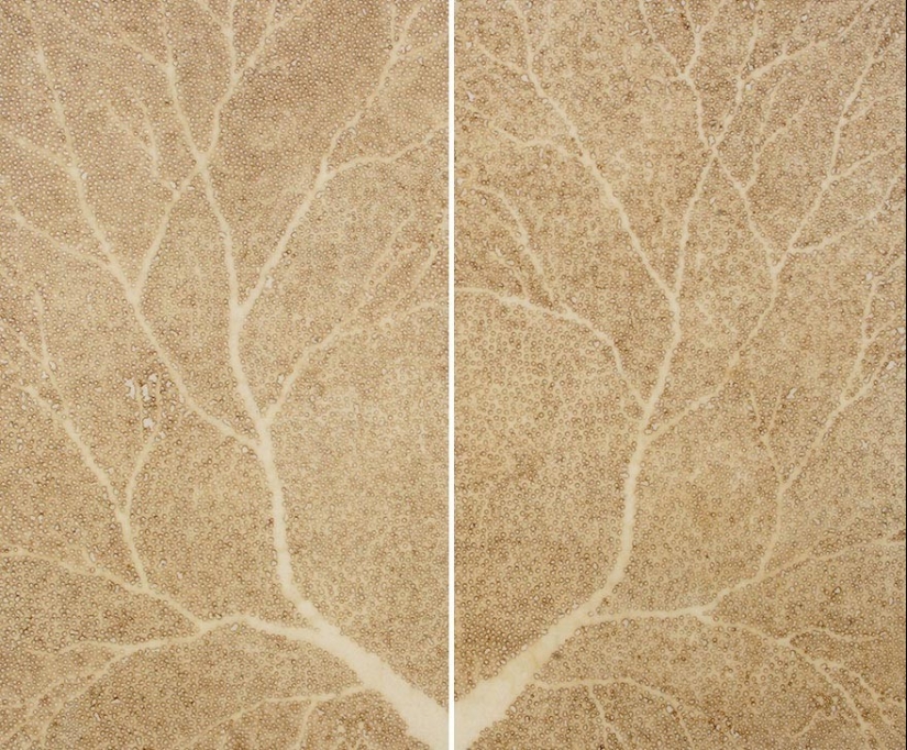 Dot art: the artist burns paper with incense sticks and creates incredible paintings