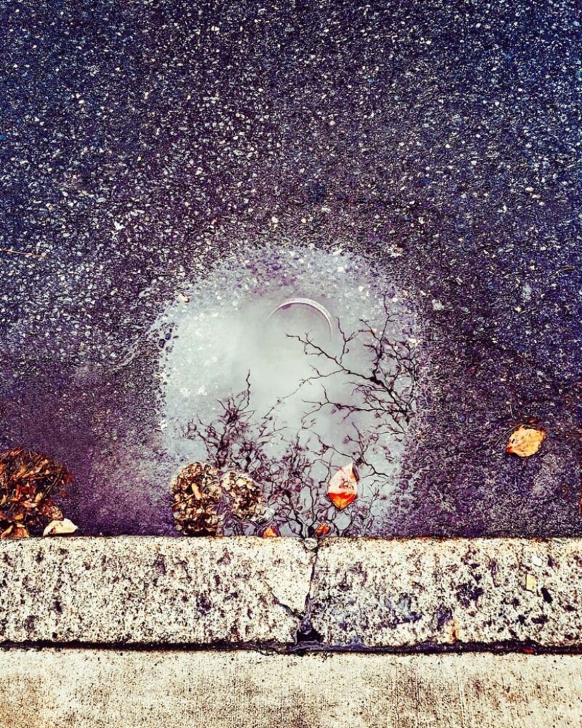 Dr. Joshua Sarinana extraordinary gift: to see the usual puddle of beauty