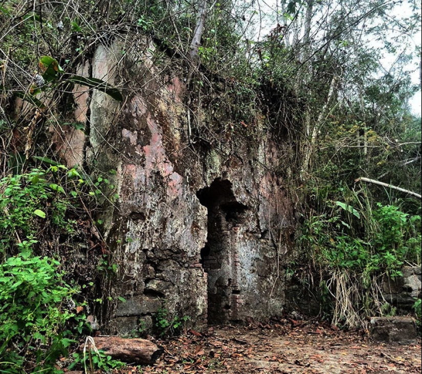 Dr. Knoche and his “mummy factory” in the jungles of Venezuela