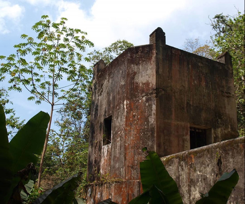 Dr. Knoche and his “mummy factory” in the jungles of Venezuela