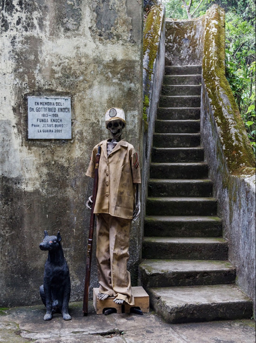 Dr. Knoche and his “mummy factory” in the jungles of Venezuela