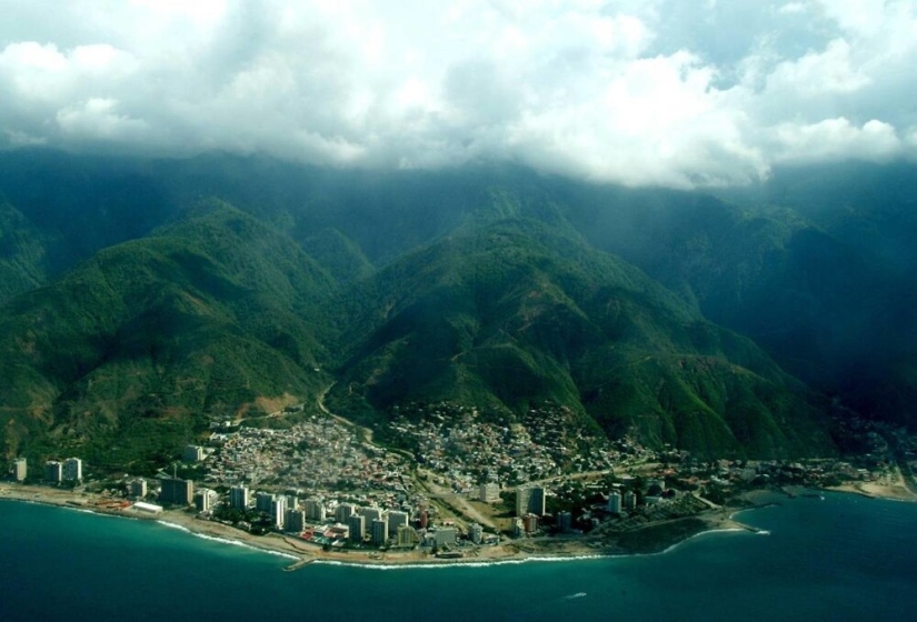 Dr. Knoche and his “mummy factory” in the jungles of Venezuela