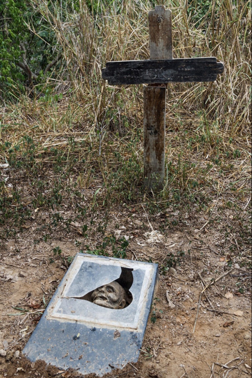 Dr. Knoche and his “mummy factory” in the jungles of Venezuela