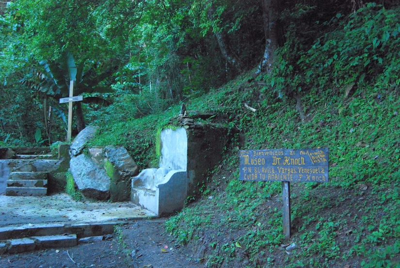 Dr. Knoche y su “fábrica de momias” en las selvas de Venezuela Dr. Knoche y su “fábrica de momias” en las selvas de Venezuela