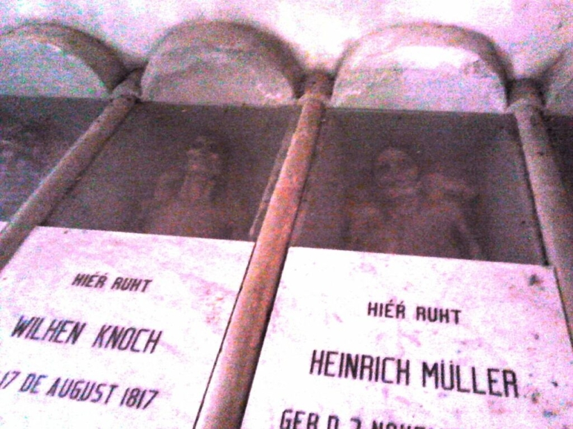 Dr. Knoche y su “fábrica de momias” en las selvas de Venezuela Dr. Knoche y su “fábrica de momias” en las selvas de Venezuela