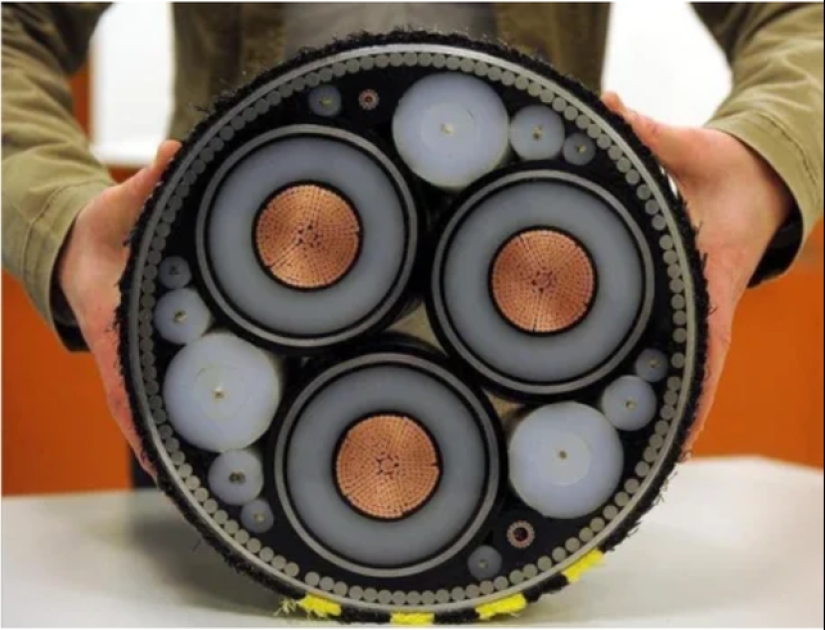 Echa un vistazo al interior! 20 fotos de los artículos que se cortan a la mitad