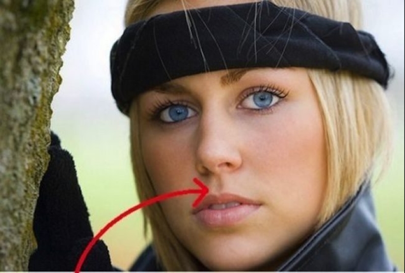 Eglet, kollivubl and other words, the knowledge of which can shine in the company