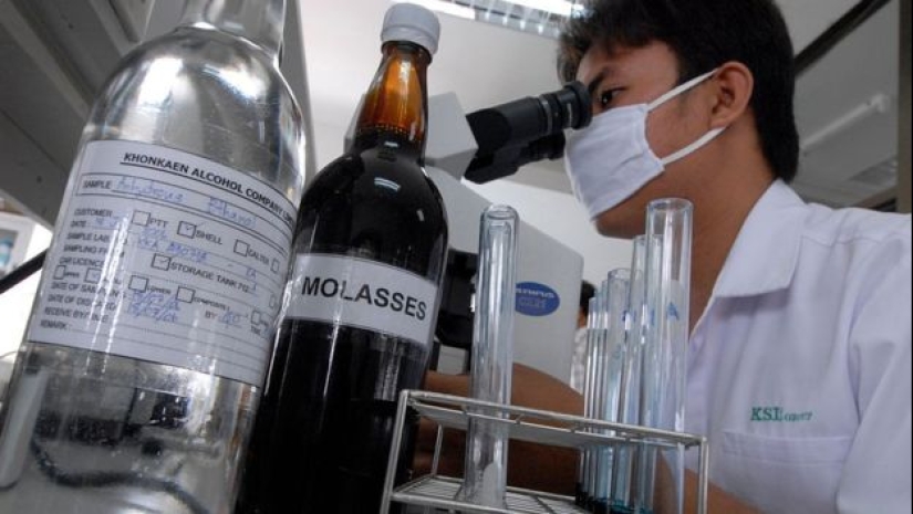 El aceite de palma al descubierto: informe de la Organización Mundial de la Salud