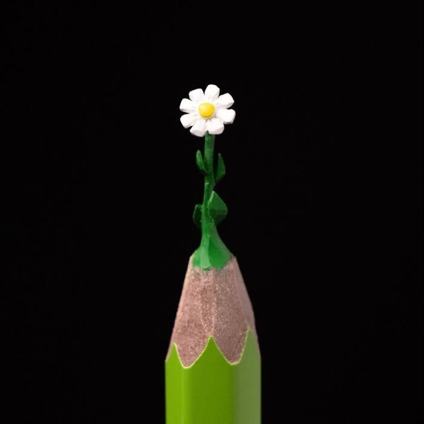 El artista de Bashkortostán, toma un lápiz y las convierte en obras maestras El artista de Bashkortostán, toma un lápiz y las convierte en obras maestras