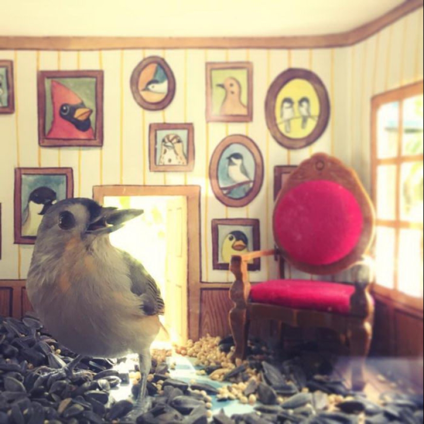 El artista hace lindas casas para pájaros El artista hace lindas casas para pájaros