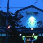 El artista que pinta con sombras