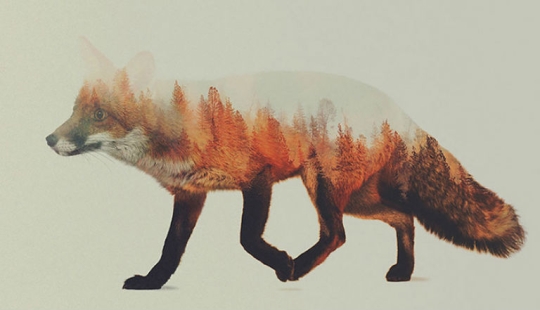 El bosque está dentro