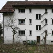 El camino hacia el gato Reino: las escaleras a los peludos animales domésticos en las fachadas de las casas Suizas