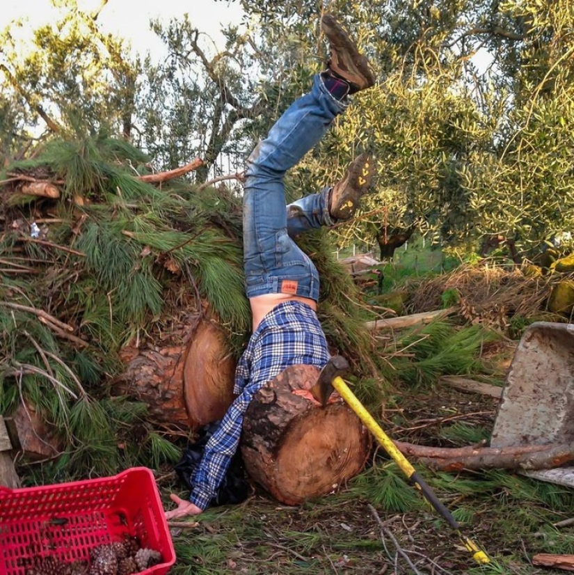 El colapso y la caída de las ilusiones de la vida: imágenes divertidas sobre accidentes escenificados El colapso y la caída de las ilusiones de la vida: imágenes divertidas sobre accidentes escenificados