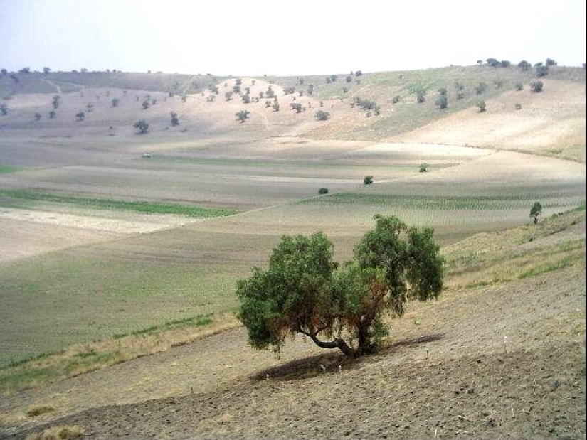 El Cráter Xico es una grandiosa maravilla natural en las afueras de la Ciudad de México El Cráter Xico es una grandiosa maravilla natural en las afueras de la Ciudad de México