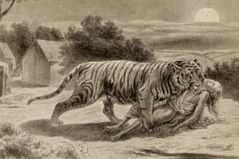 El demonio de Champavata: la historia del tigre devorador de hombres más sanguinario de la historia