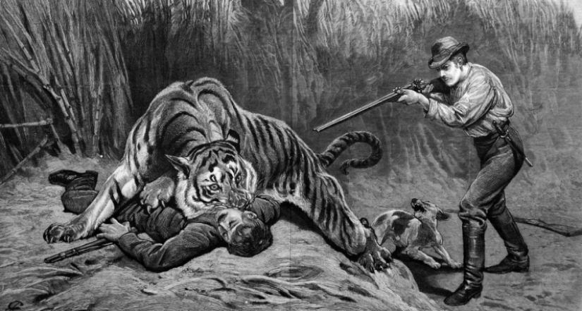 El demonio de Champavata: la historia del tigre devorador de hombres más sanguinario de la historia