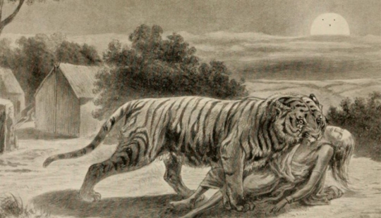El demonio de Champavata: la historia del tigre devorador de hombres más sanguinario de la historia El demonio de Champavata: la historia del tigre devorador de hombres más sanguinario de la historia