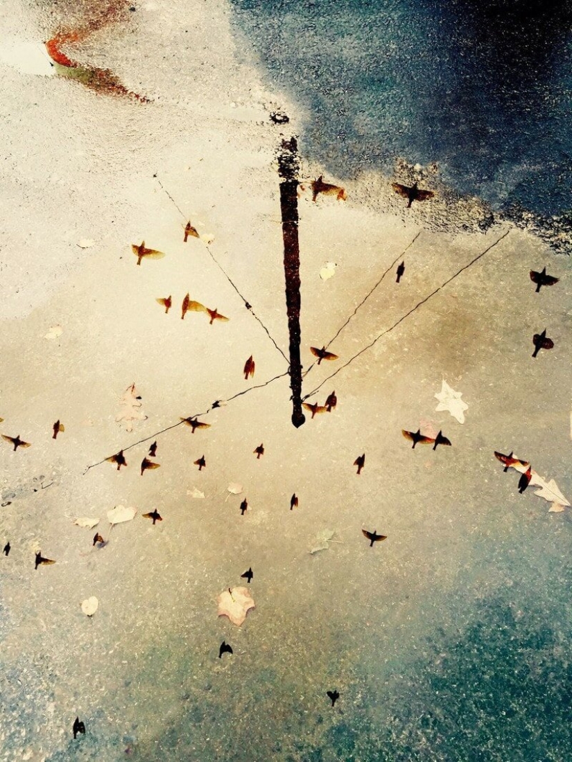 El Dr. Joshua Sarinana don extraordinario: para ver el habitual charco de belleza