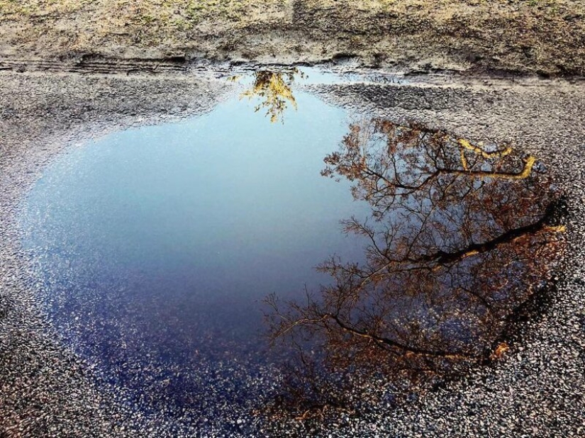 El Dr. Joshua Sarinana don extraordinario: para ver el habitual charco de belleza