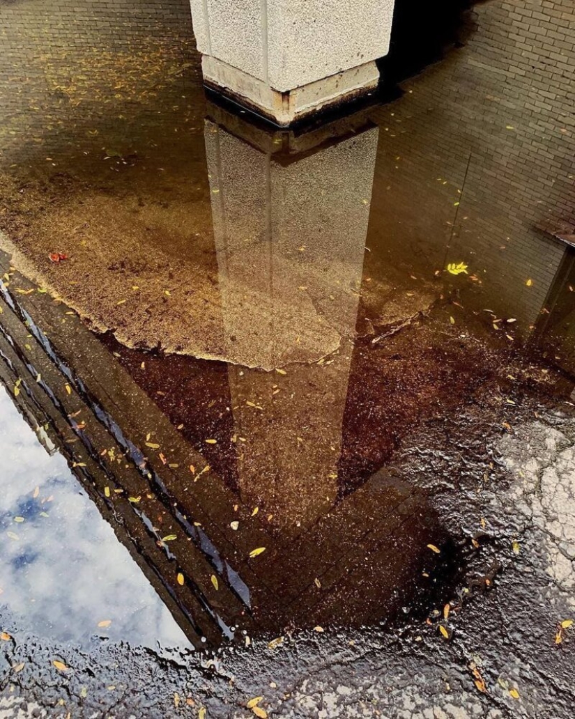 El Dr. Joshua Sarinana don extraordinario: para ver el habitual charco de belleza