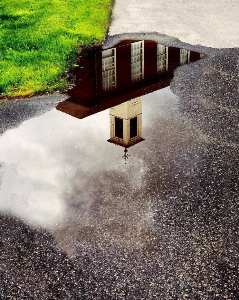 El Dr. Joshua Sarinana don extraordinario: para ver el habitual charco de belleza