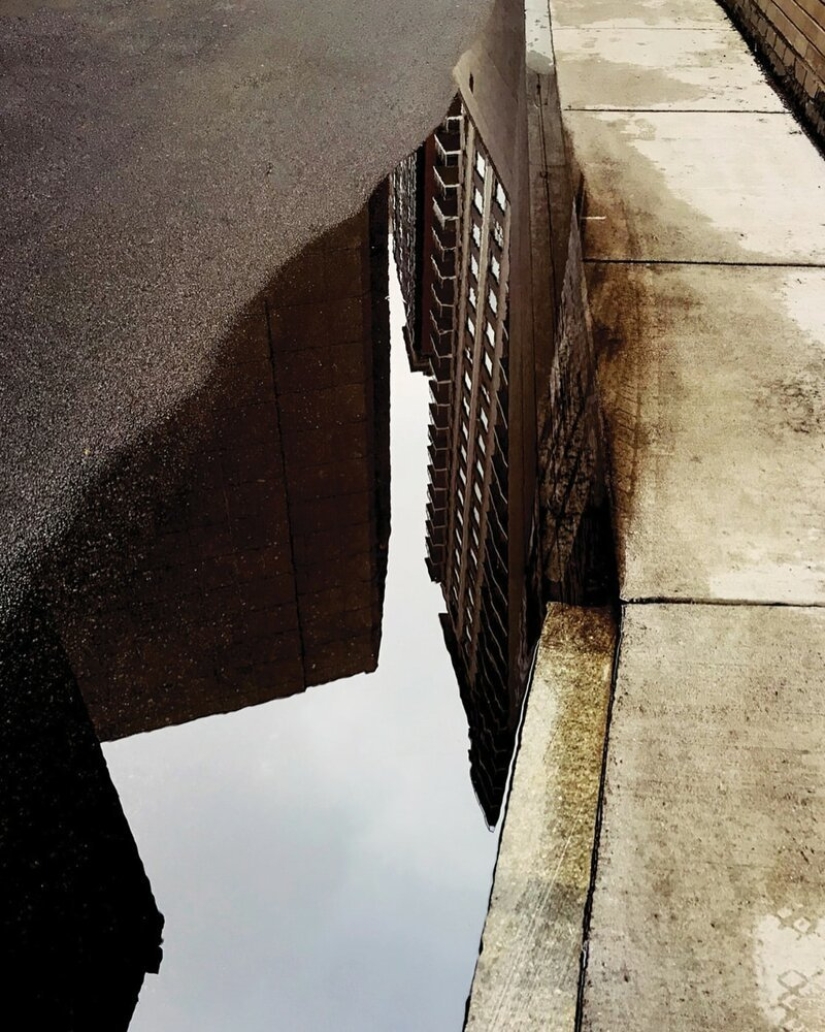 El Dr. Joshua Sarinana don extraordinario: para ver el habitual charco de belleza