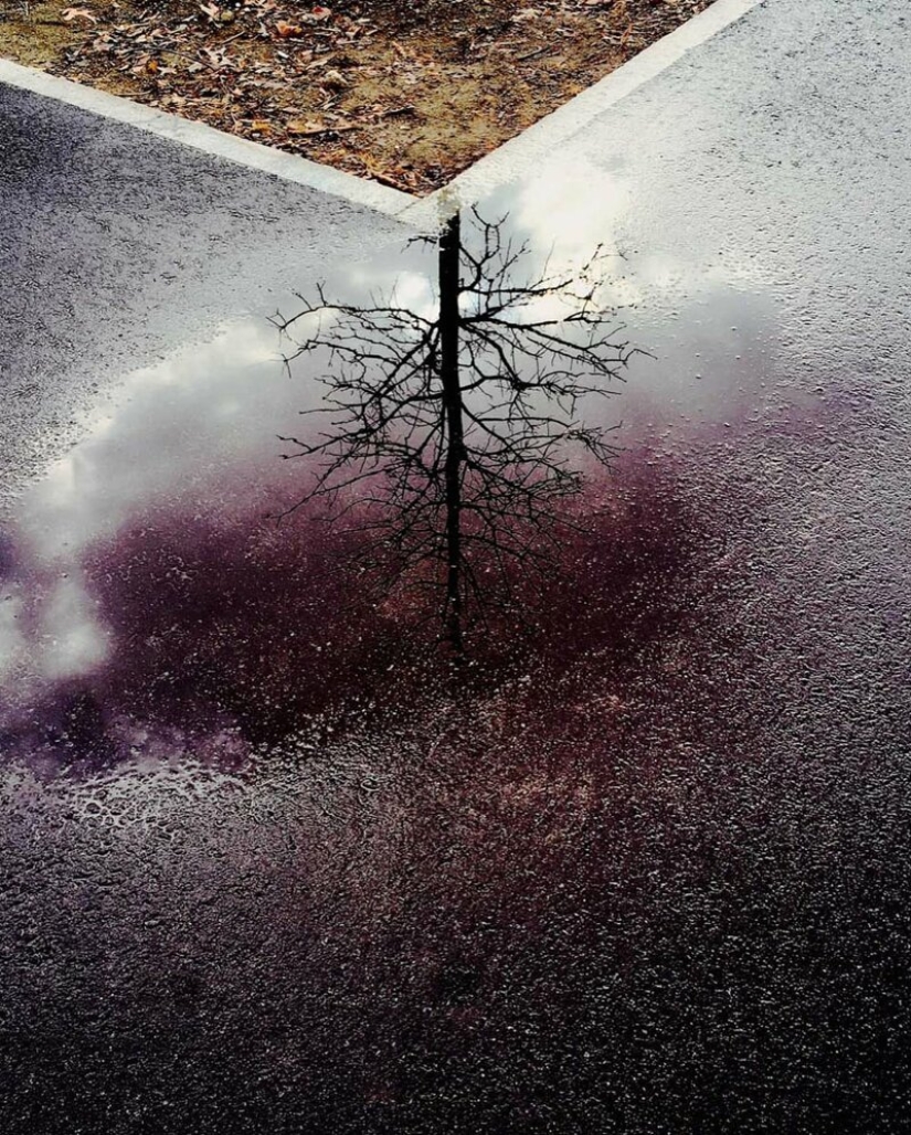 El Dr. Joshua Sarinana don extraordinario: para ver el habitual charco de belleza