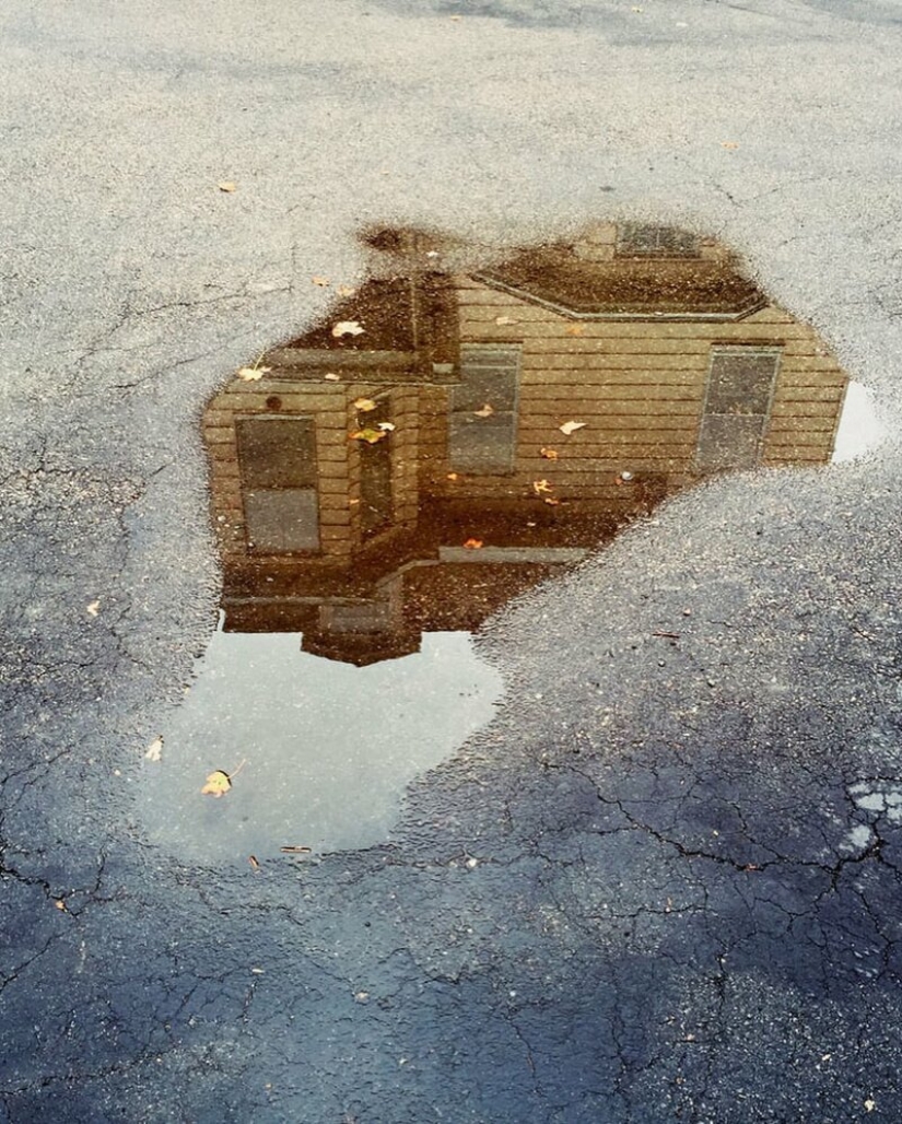 El Dr. Joshua Sarinana don extraordinario: para ver el habitual charco de belleza