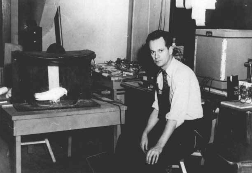 El experimento de Skinner: ¿qué tienen en común las personas supersticiosas y las palomas? El experimento de Skinner: ¿qué tienen en común las personas supersticiosas y las palomas?