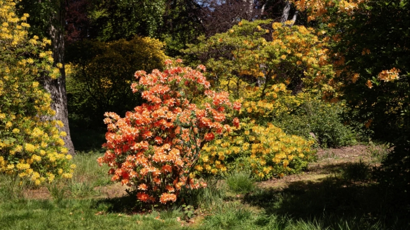El fotógrafo esconde modelos desnudos en sus obras de paisaje. Podemos encontrarlos? El fotógrafo esconde modelos desnudos en sus obras de paisaje. Podemos encontrarlos?