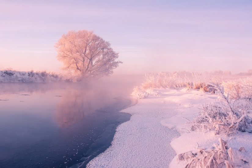 El fotógrafo se levanta temprano por la mañana todos los días para capturar la belleza del invierno