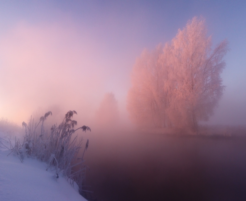 El fotógrafo se levanta temprano por la mañana todos los días para capturar la belleza del invierno