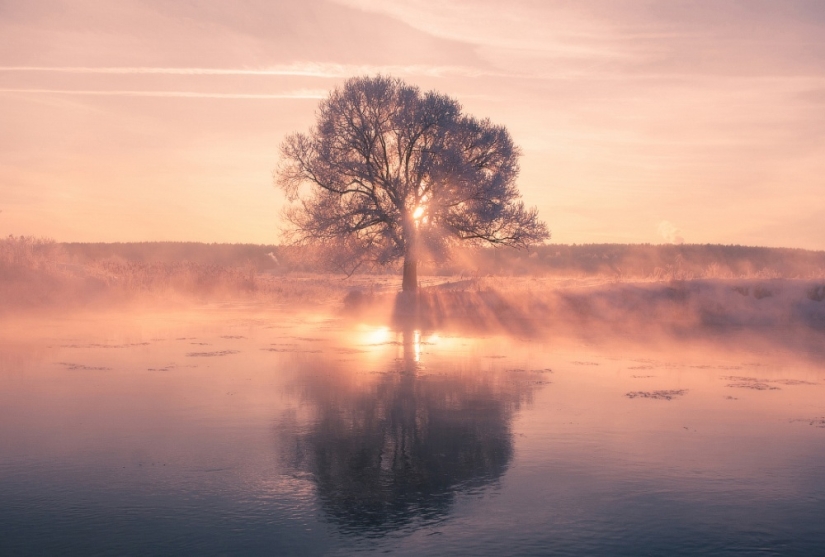 El fotógrafo se levanta temprano por la mañana todos los días para capturar la belleza del invierno