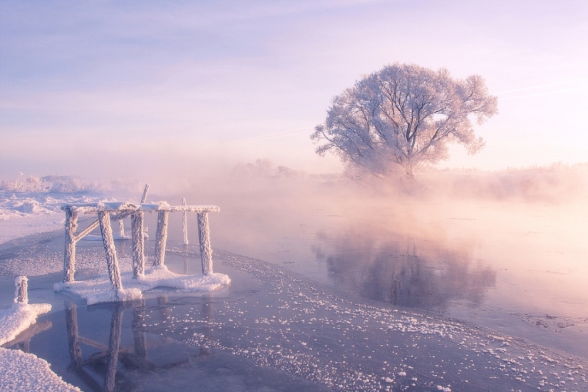 El fotógrafo se levanta temprano por la mañana todos los días para capturar la belleza del invierno