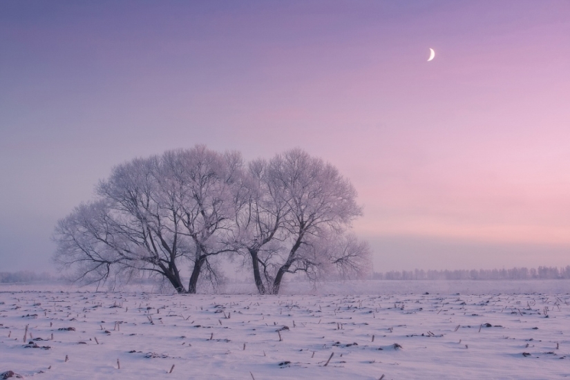 El fotógrafo se levanta temprano por la mañana todos los días para capturar la belleza del invierno