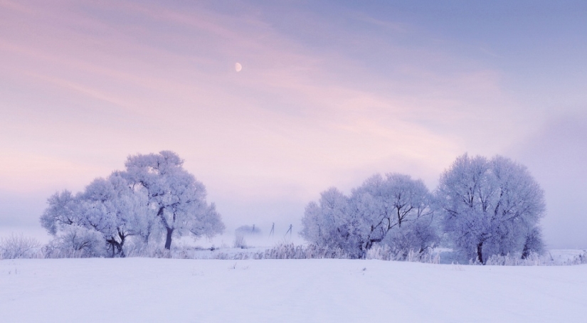 El fotógrafo se levanta temprano por la mañana todos los días para capturar la belleza del invierno