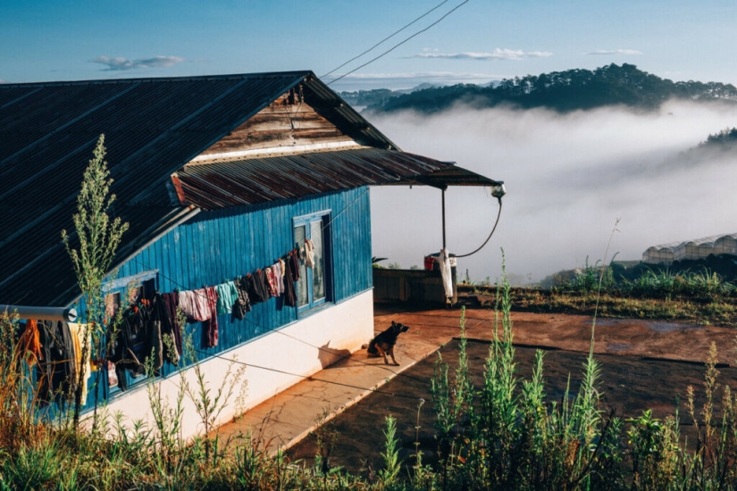 El fotógrafo vietnamita Pham Anh Tu, cuyas fotografías te transportan a un mundo de ensueño.