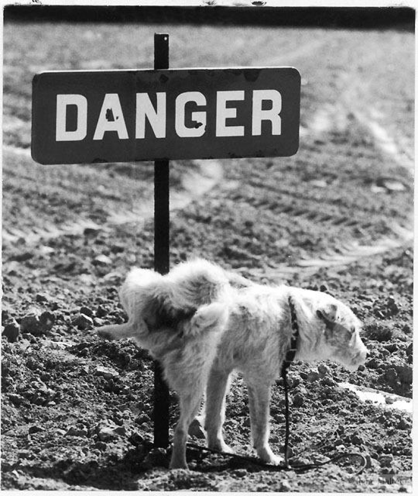 El genio de la fotografía René Maltet El genio de la fotografía René Maltet