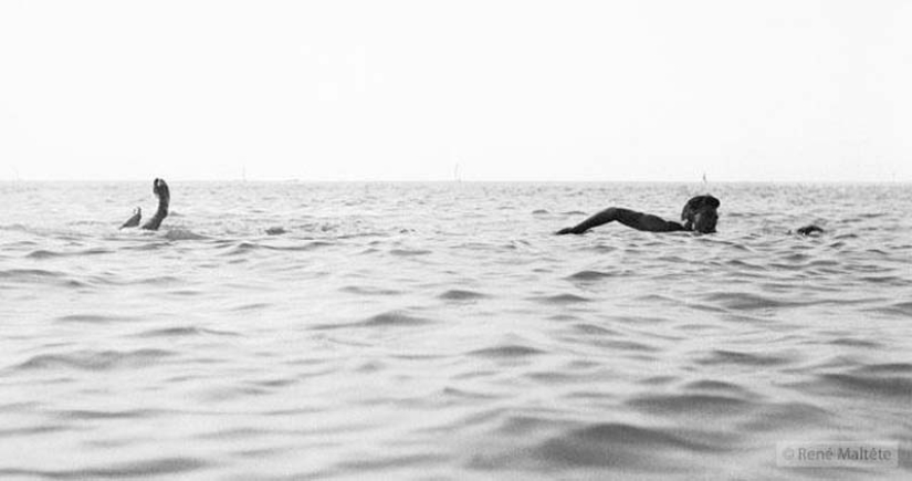 El genio de la fotografía René Maltet El genio de la fotografía René Maltet