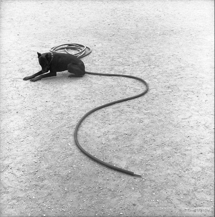 El genio de la fotografía René Maltet El genio de la fotografía René Maltet